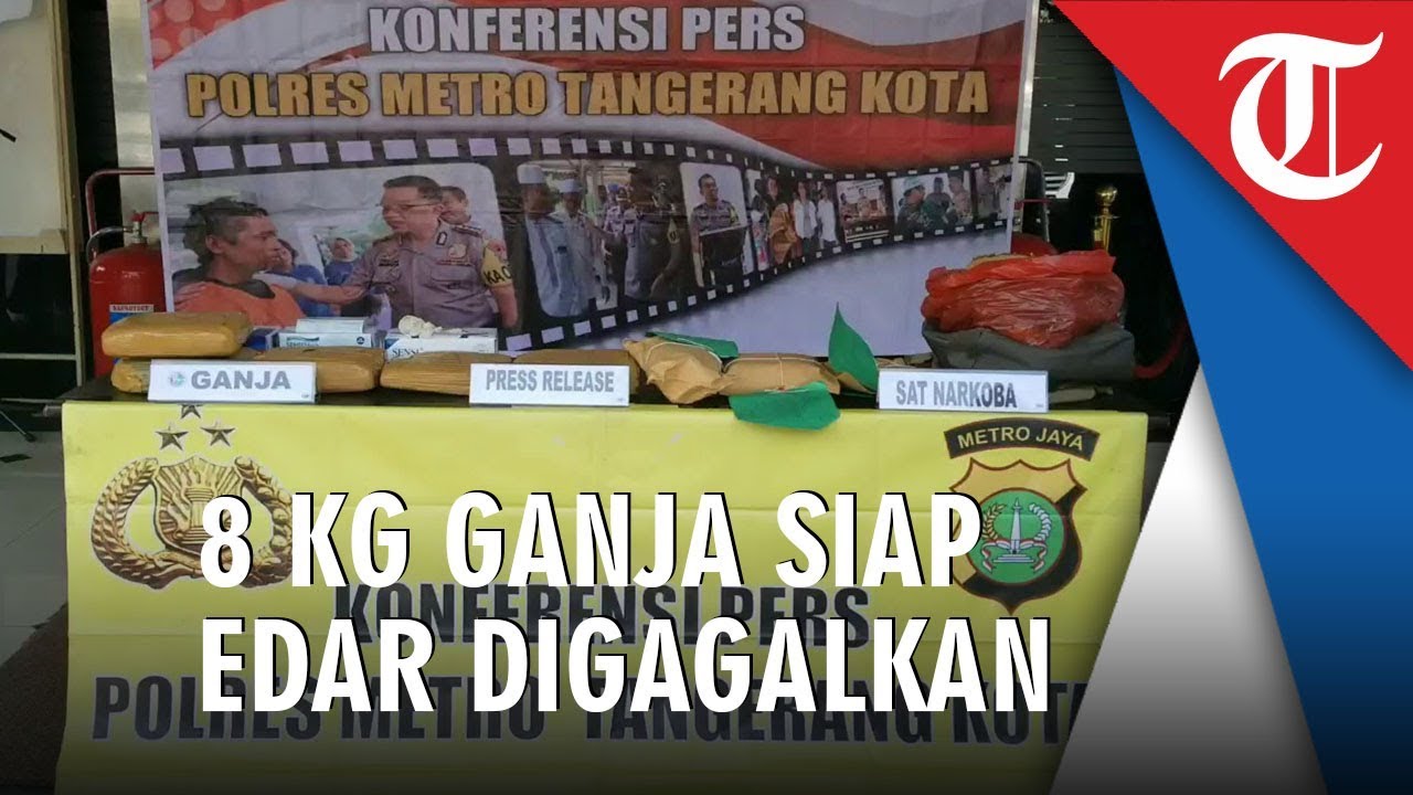 Video 8 Kg Ganja Kering Asal Lampung yang Siap Edar di Tangerang camera iphone 8 plus apk
