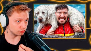 видео: Стинт смотрит MrBeast Я Спас 1000 Животных от Гибели картинка: Стинт смотрит MrBeast Я Спас 1000 Животных от Гибели