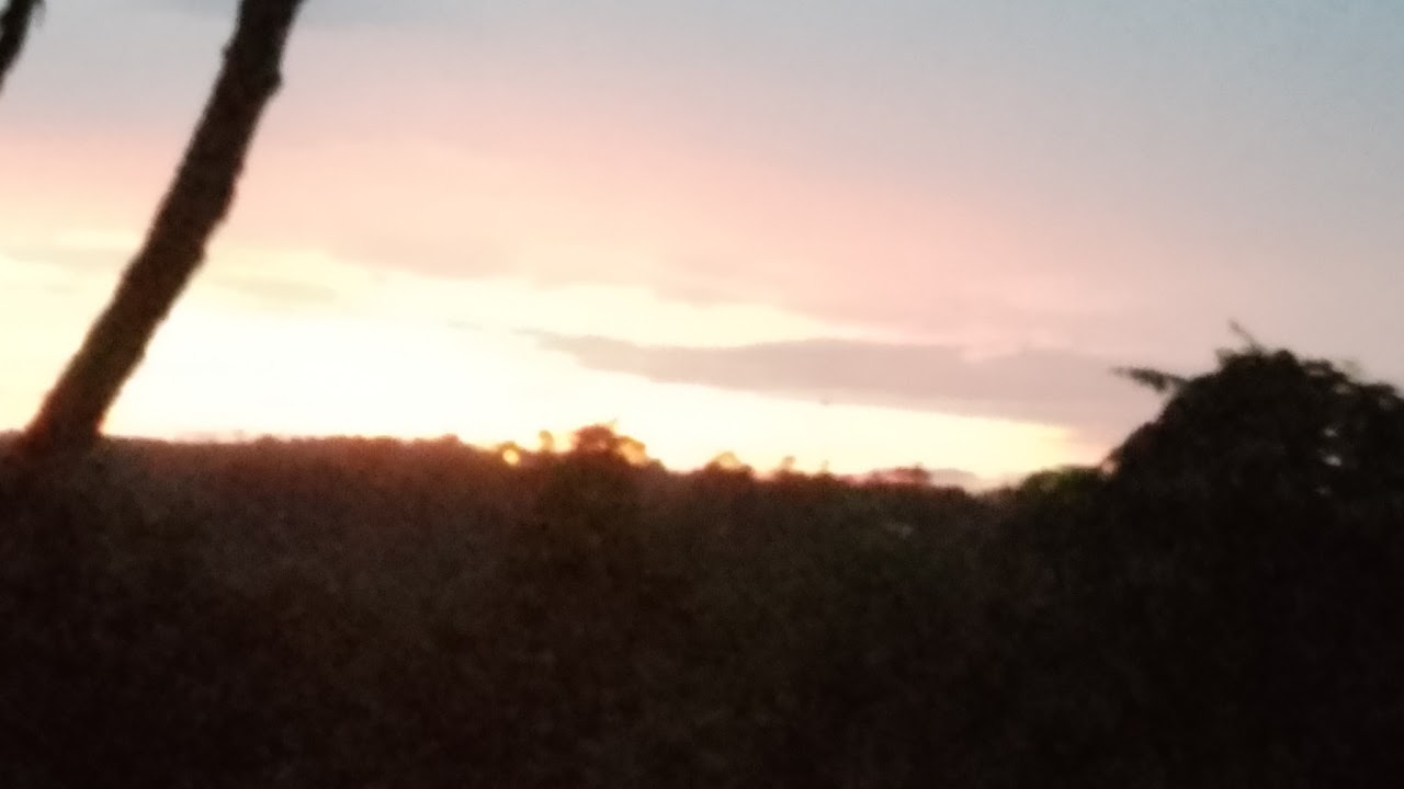 Lê Đức From Nimo