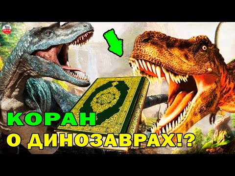 Видео: Люди когда-нибудь действительно клали крокодилов в луты?