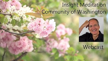 Jonathan Foust | Letting Go, Letting Be and Surrendering to Presence