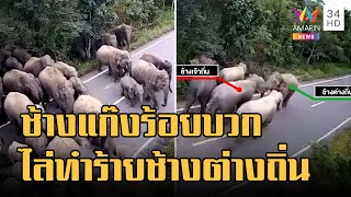 ข่าวเที่ยงอมรินทร์ | ใหญ่ชนใหญ่! ช้างป่าพลัดถิ่นถูกช้างป่าเจ้าถิ่นไล่ทำร้าย | 29 ก.ย.65