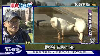 從早玩到晚!桃林鐵路搖身一變成鐵馬道｜TVBS新聞 