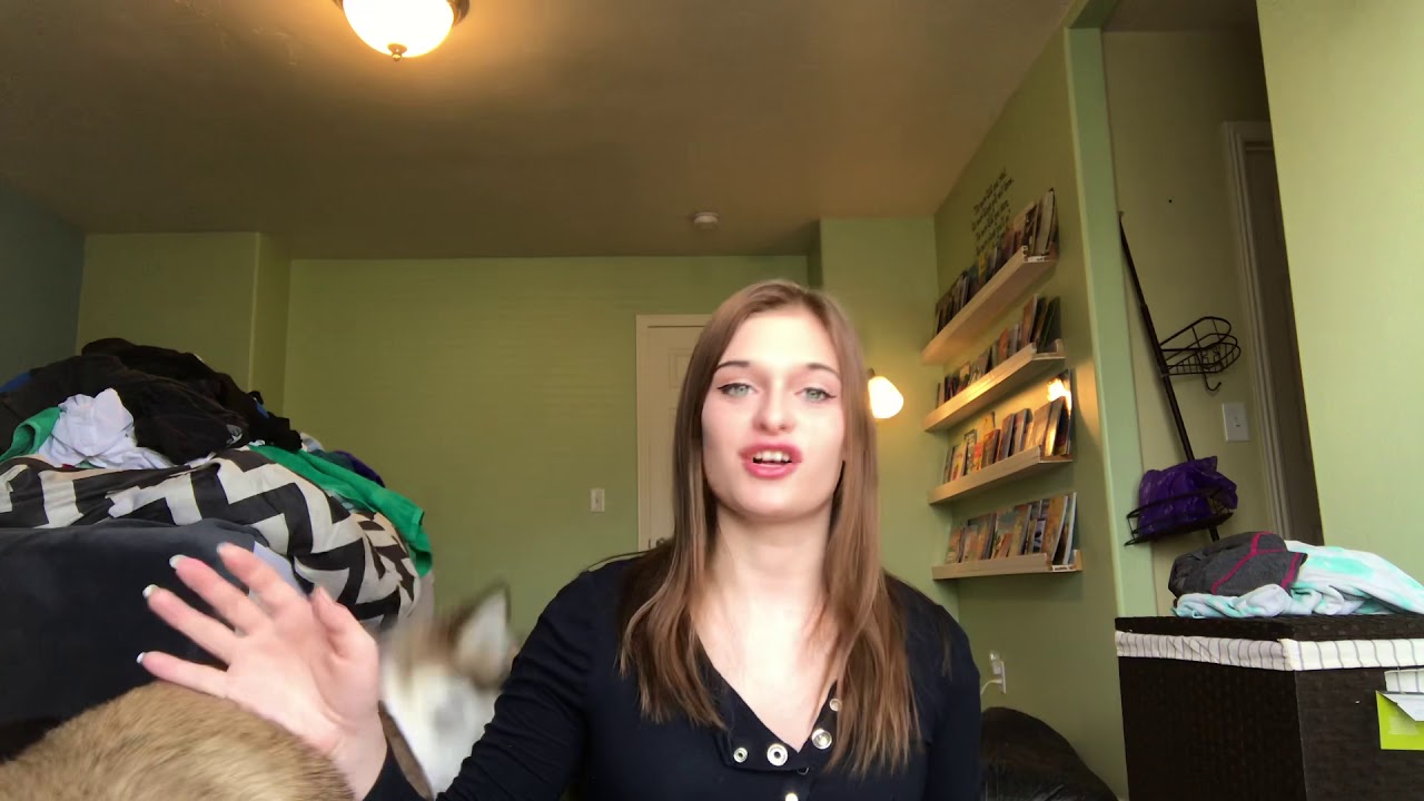 Backyard breeding vs responsible breeding YouTube