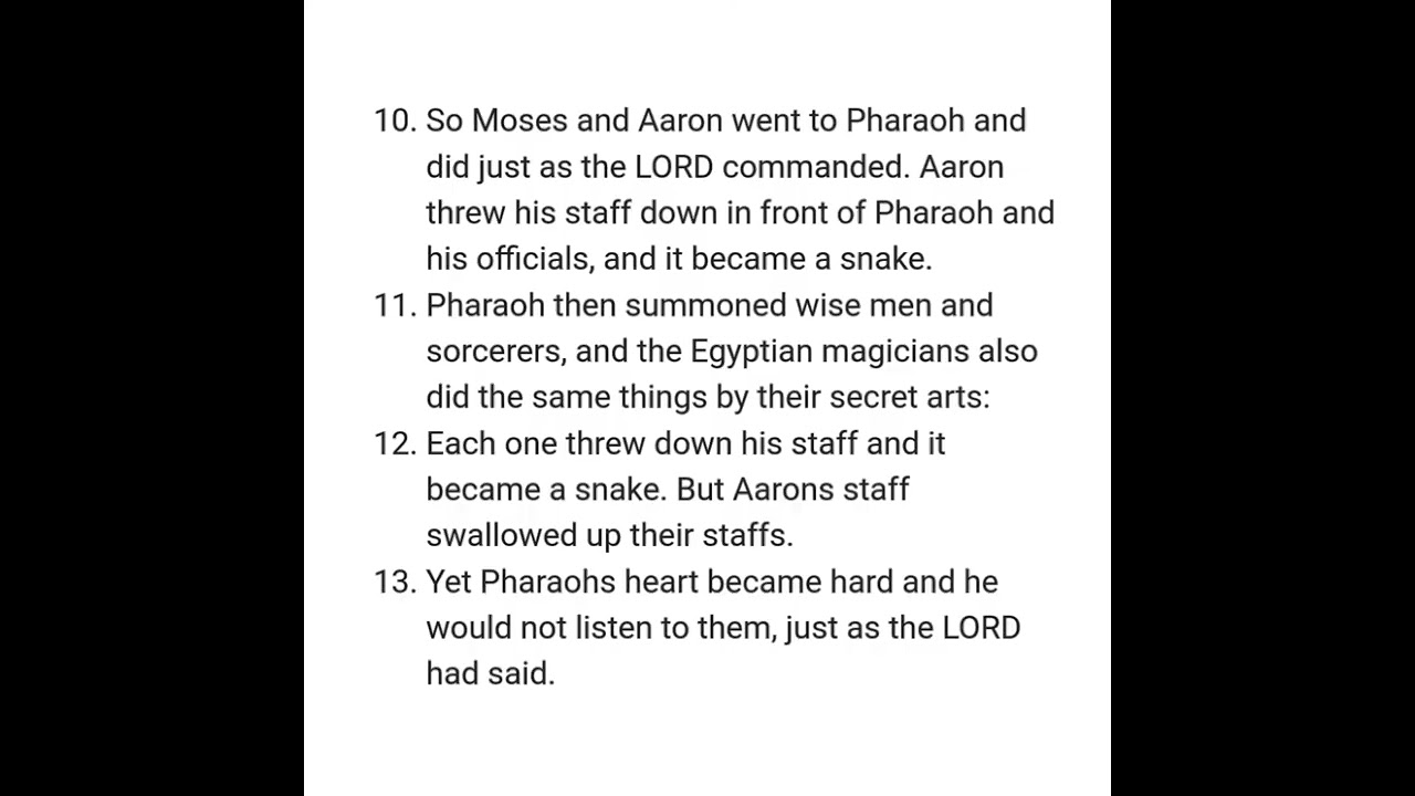 EXODUS 7 NIV AUDIO BIBLE with text