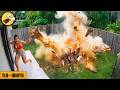 TOTAL IDIOTS AT WORK #334 | Instant Regret Fails Compilation 2026 | Best of the Month