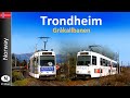 【4K】TRONDHEIM TRAM - Gråkallbanen  (2019)