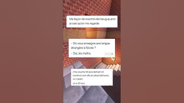 Le théorème de Pythagore #memes #shorts