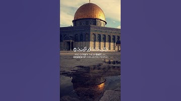 سورة التوبة {الآية 14} بصوت الشيخ محمد اللحيدان ❤️❤️