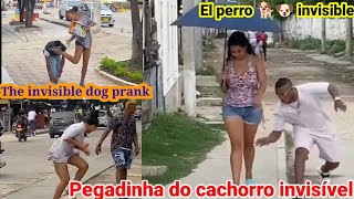 El perro Pitbull invisíble /Pegadinha do cachorro invisível / the invisible dog prank