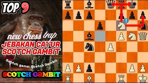 Top 9 Chess trap SCOTCH GAMBIT Chess analysis