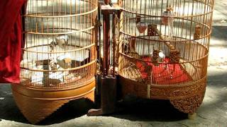 MVI_0004.AVI