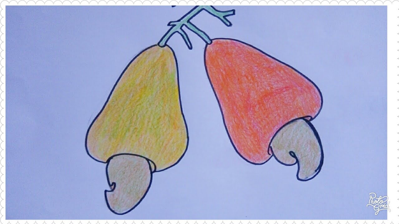 Cara Mudah Menggambar Buah Jambu mente | Tutorial Indonesia 