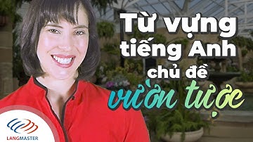 Langmaster - Từ vựng tiếng Anh chủ đề Vườn Tược [Học tiếng Anh cho người mới bắt đầu #2]