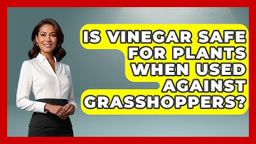 Is Vinegar Safe For Plants When Used Against Grasshoppers? - Insects and Invaders