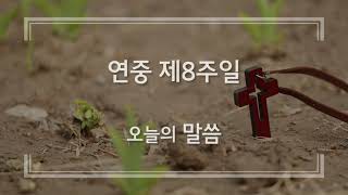 20220227 연중 제8주일