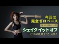 -CHARLIEはこう弾く-耳コピ過程「シェイク イット オフ」/ Princess Princess