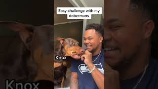 Easy challenge 🤣 who won? 👀 #fyp #suavexavier #Knox #reposttiktok