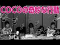 【らんがちゃん公式切り抜き】ココの奇妙な行動