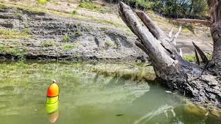 BOBBER Fishing Deep CUTBANKS!!! (River Fishing)