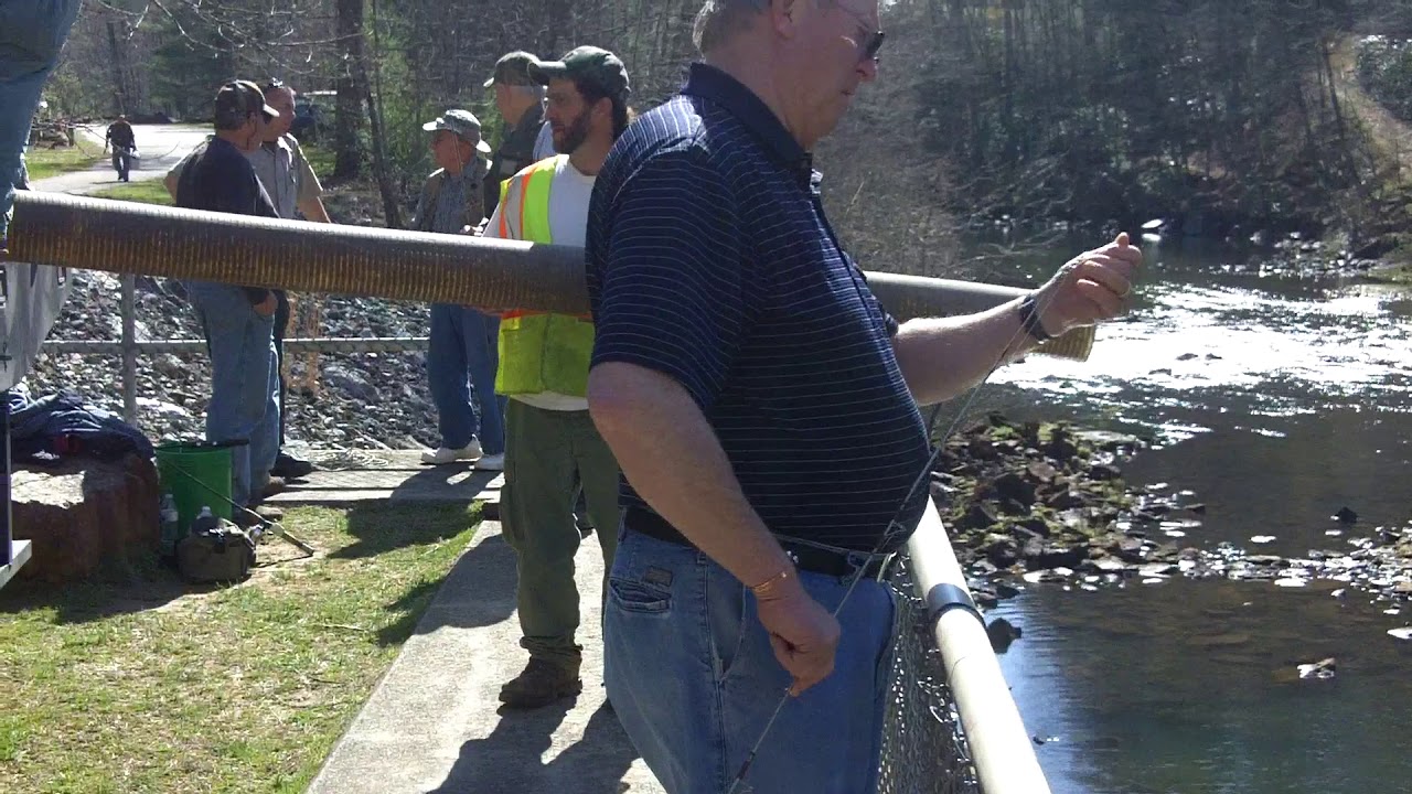 Trout Stocking At Philpott Dam Part 1 YouTube trout-stocking-at-philpott-dam-part-1-youtube