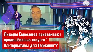 Лидеры Евросоюза присваивают предвыборные лозунги 