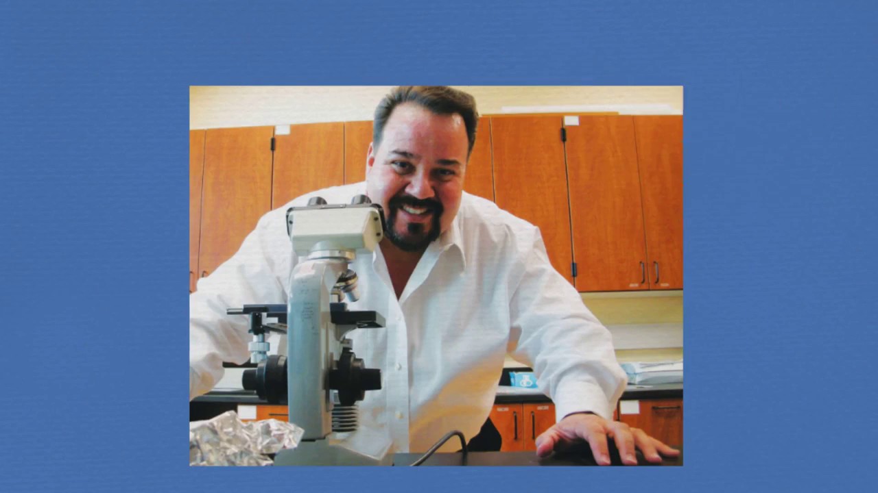 BEST PEST CONTROL COMPANY IN THE BRONX, NY