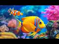 Relaxing 4K Aquarium 🐠 Colorful Coral Reef & Tropical Fish for Stress Relief and Deep Relaxation