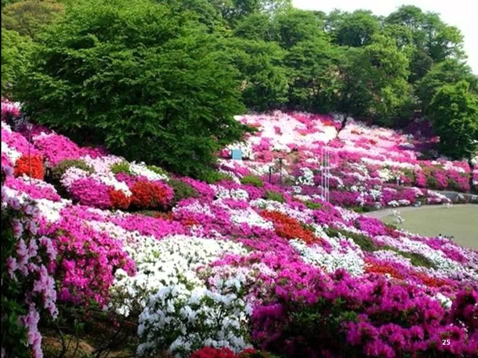 Watch Serenade -Franz Schubert -Violin -Isaac Stern on YouTube Watch Serenade -Franz Schubert -Violin -Isaac Stern on YouTube