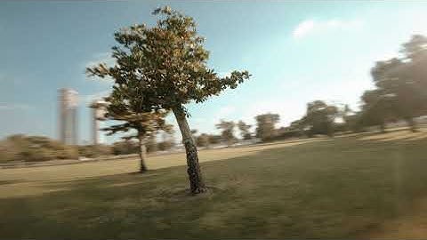 Flowing on trees - FPV Freestyle