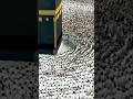 Masha, Allah makkah live madina live #shorts #shortsfeed #shortvideo #makkah #madina #mashallah #yt