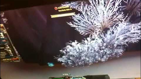 WoW anti-afk machine