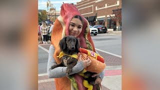 Pups parade in their Howl-o-ween costumes in downtown Naperville