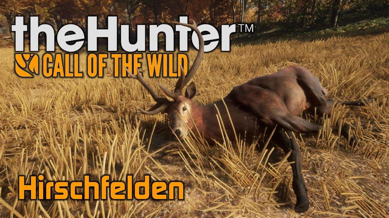 theHunter Call of the Wild 72 Jagddruck erzeugen ist der Auftrag [deutsch] YouTube