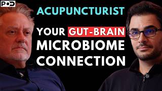 Acupuncturist: The Hidden Gut Brain Connection Destroying Your Health