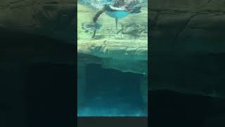Views from Below the Surface