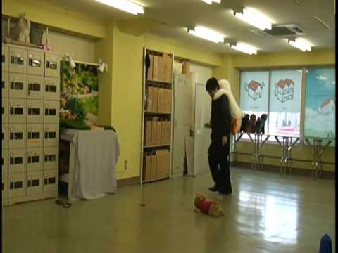 まねきねこダックのうた