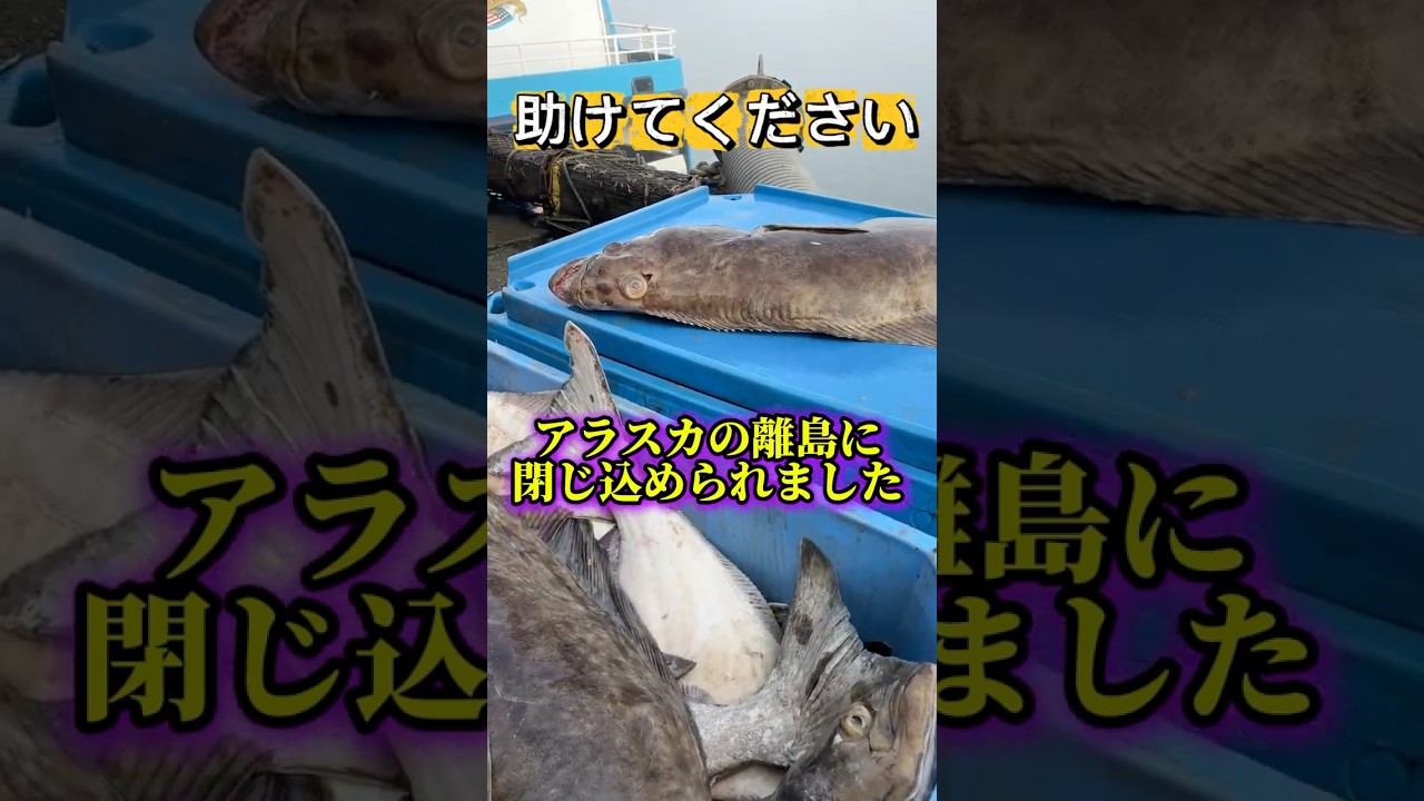 アラスカの離島で帰れなくなりました。