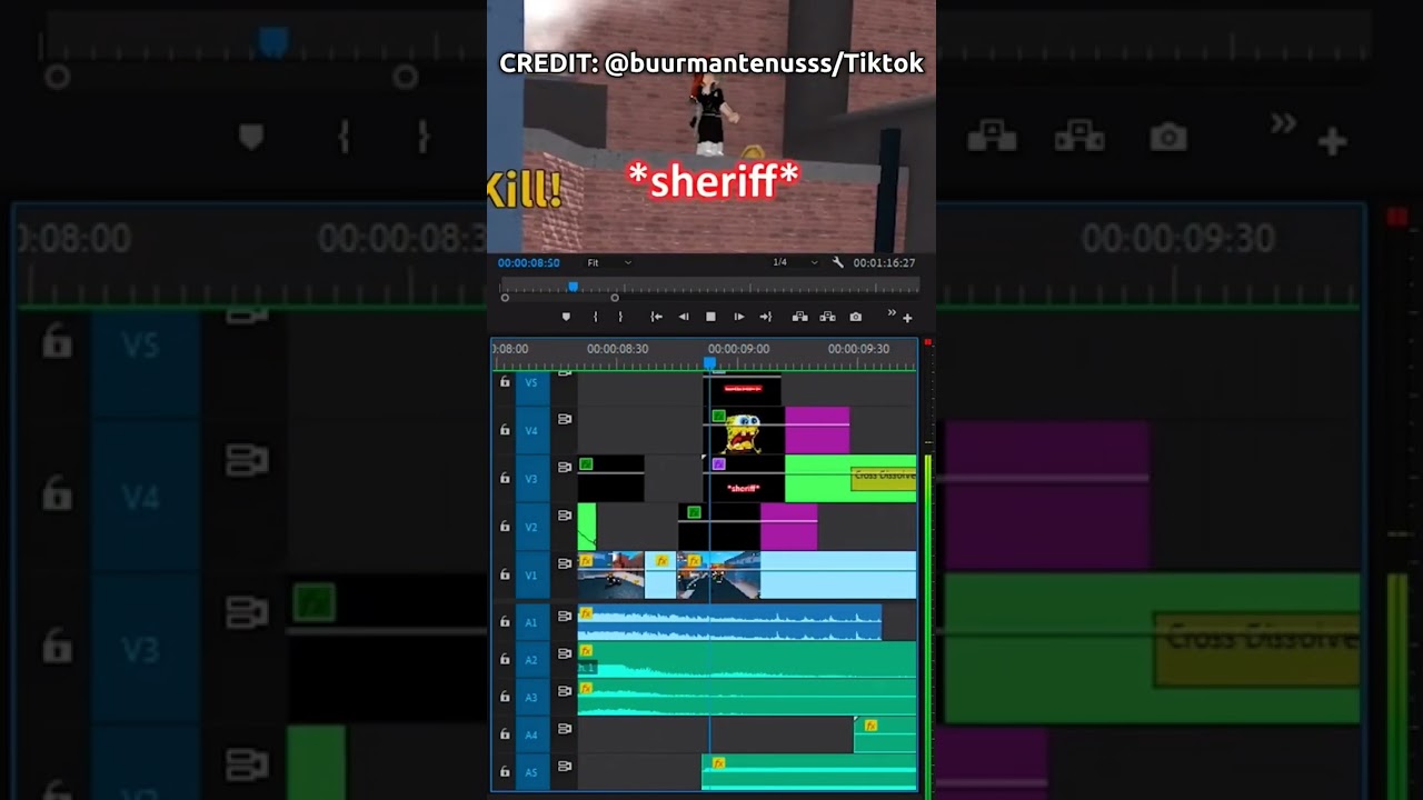 How Buur video editing project looks like
