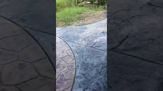 IMG 0071