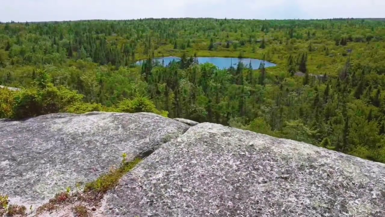 Pot Lake Loop: Bluff Wilderness Trail by Drone