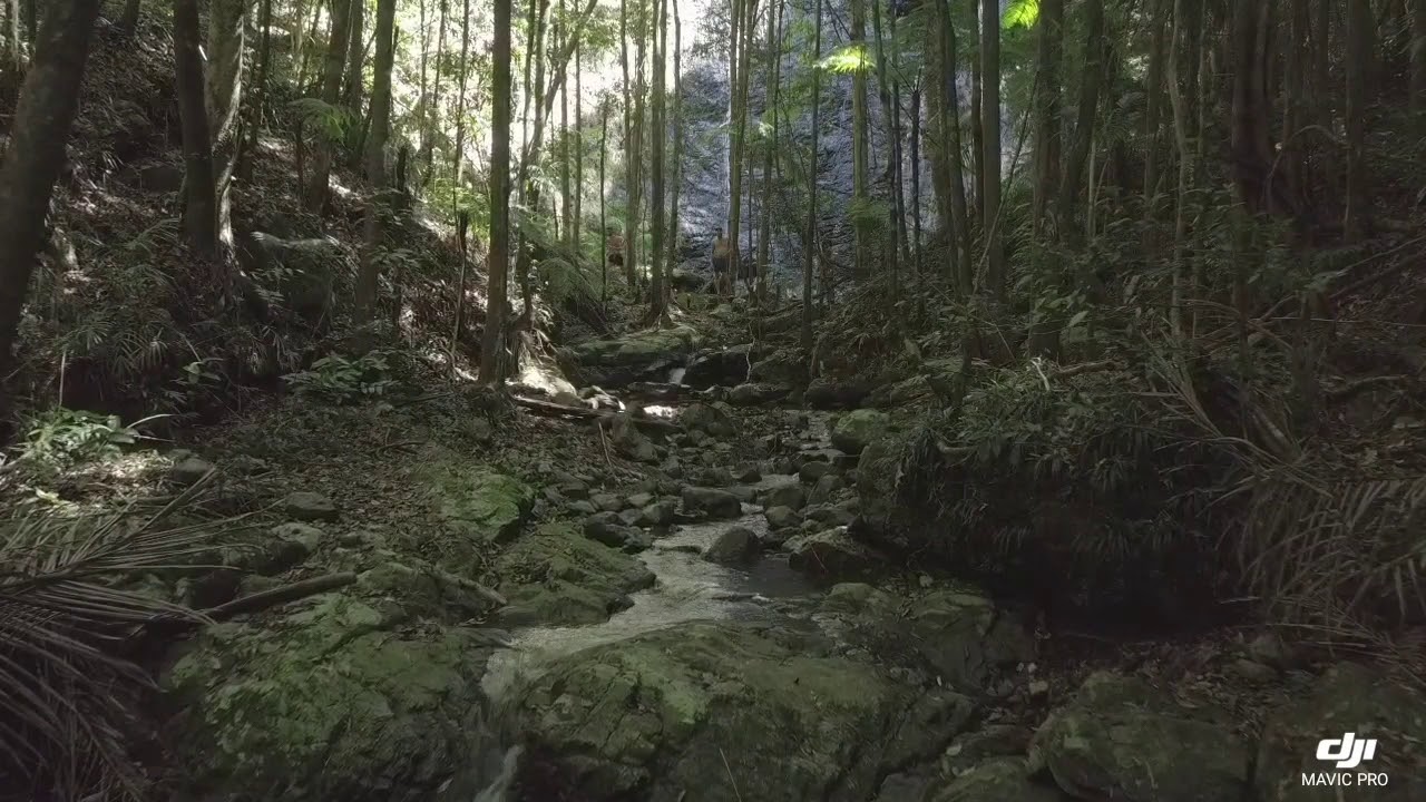 Drone Footage Of Hidden Waterfall In Coffs Harbour Youtube