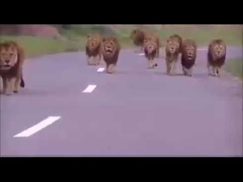 Ham Din Ka Janda Galege