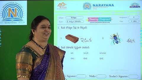 11TH SEP AP & TS CLASS I SL TELUGU AMAZING ASSIGNMENT 8 KEY
