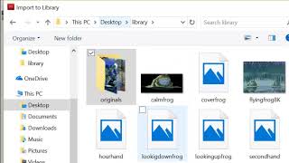 Building your library in Flash