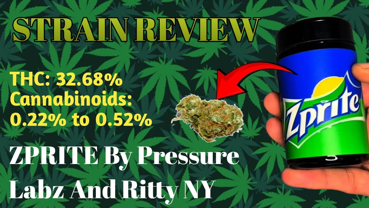 Refreshing? Zprite by Pressure Labs & Ritty New York - Strain Review