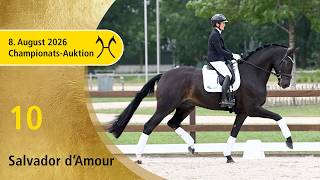 No. 10 Salvador d'Amour by Secret - For Dance | Verden Championship Auction OnLive – August 8th