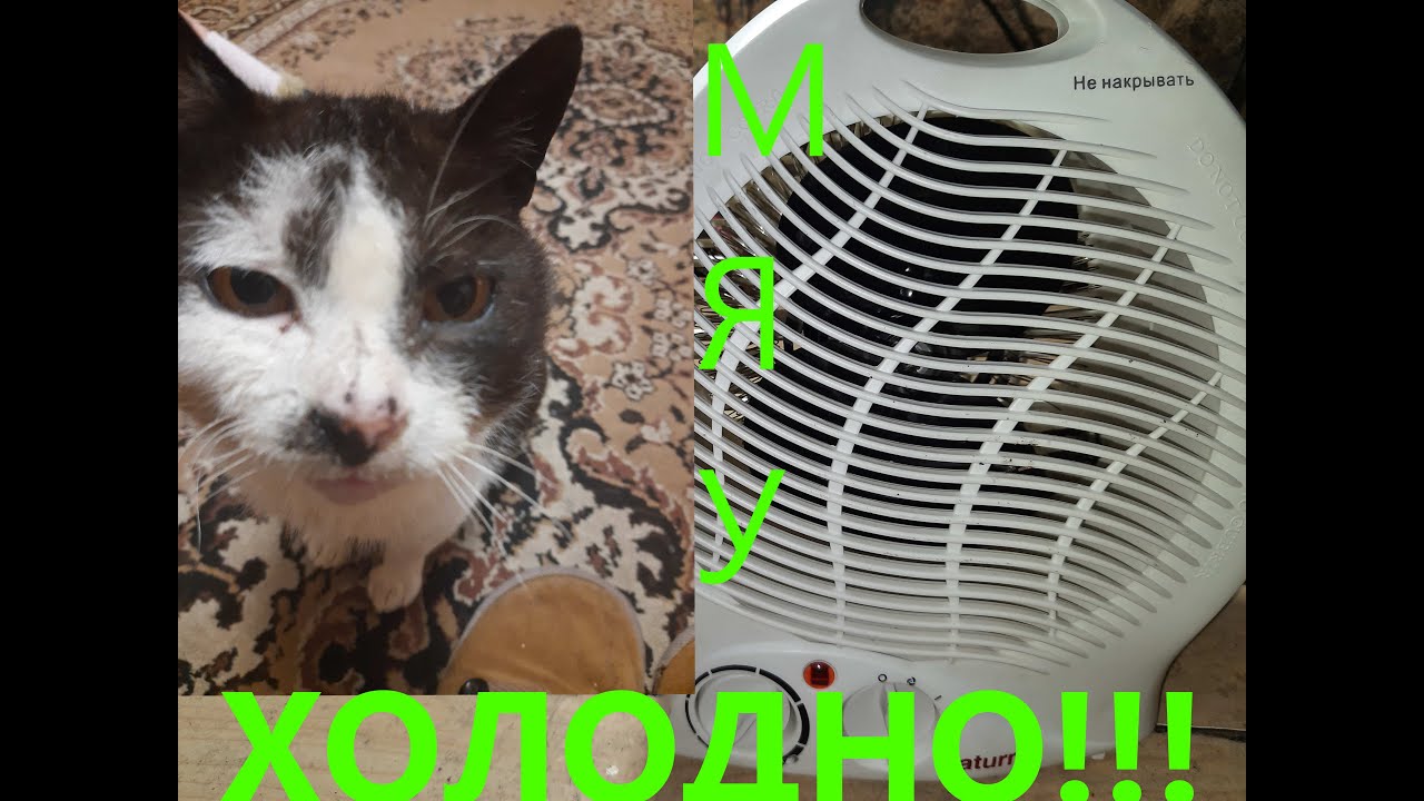 Тепловентилятор Saturn не включается - РЕМОНТ. - YouTube