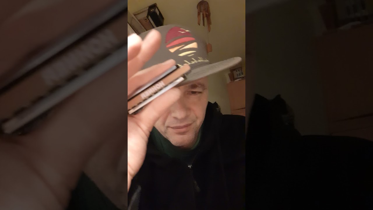 Db harmonic minor harmonica practice