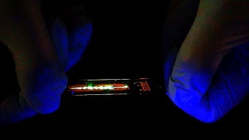 High-brightness all-polymer stretchable LED with charge-trapping dilution